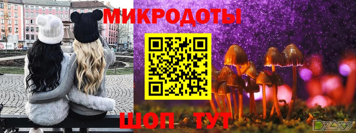 Псилоцибиновые грибы мухоморы Сухой Лог