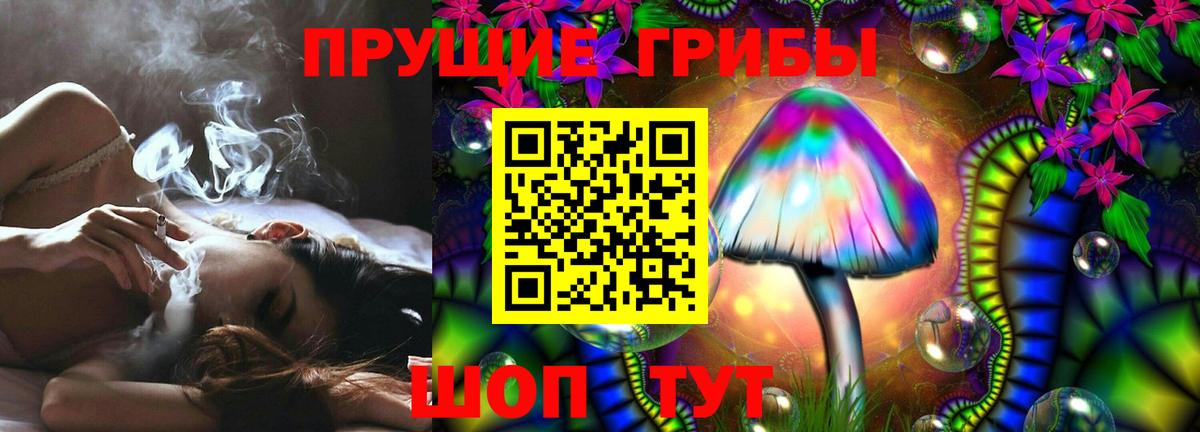 Псилоцибиновые грибы Magic Shrooms  Вход с VPN  где найти   Сухой Лог 